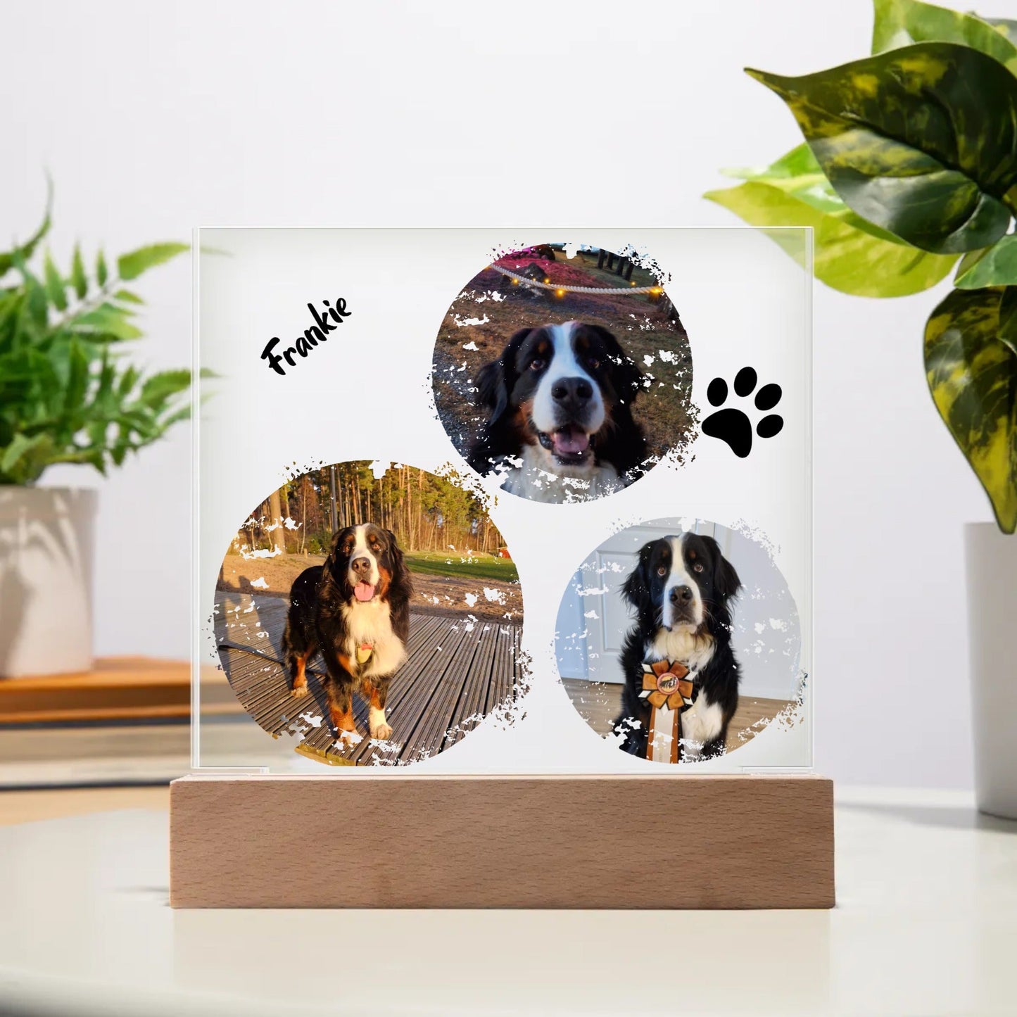 Custom Dog Photos Personalized Acrylic Plaque