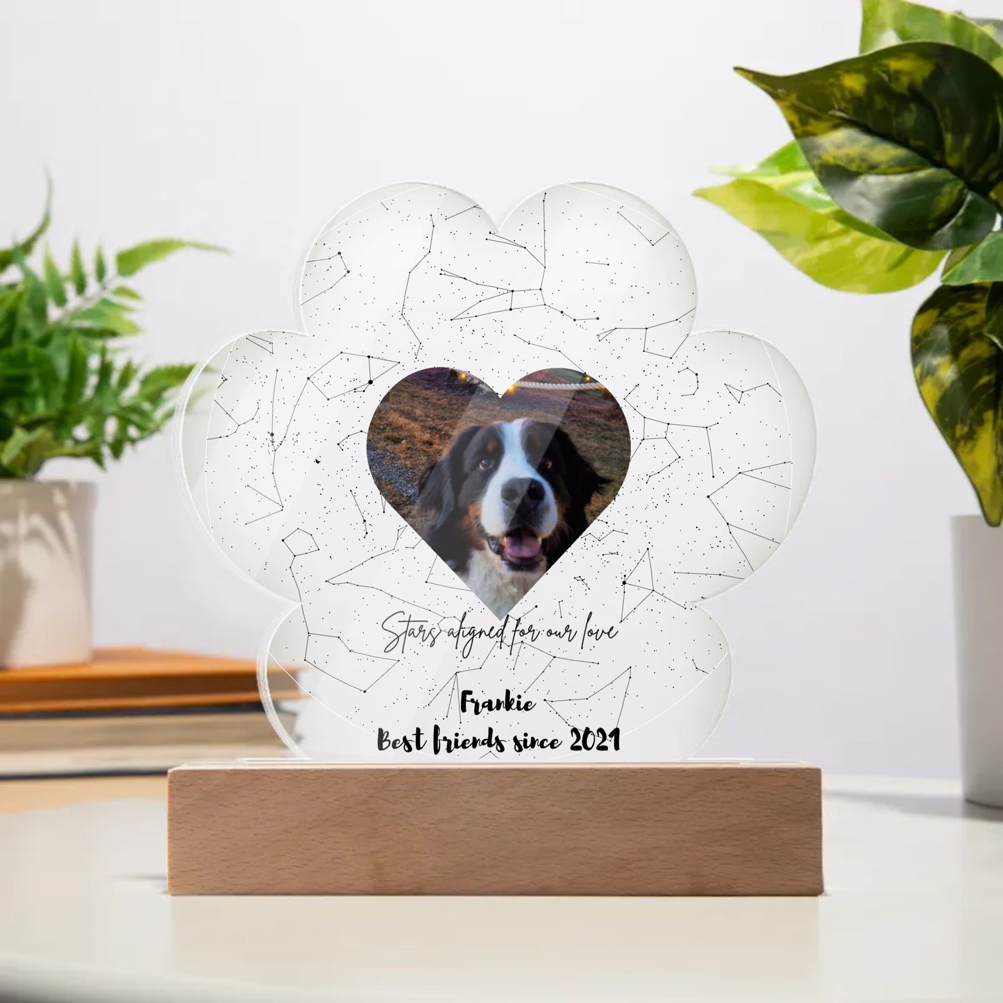 Custom Dog Photo Star Map Personalized Acrylic Paw Plaque