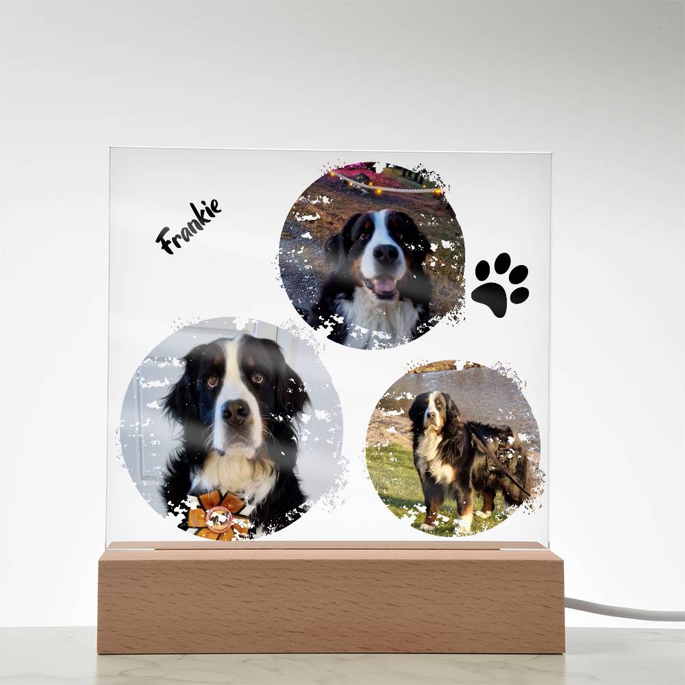 Custom Dog Photos Personalized Acrylic Plaque