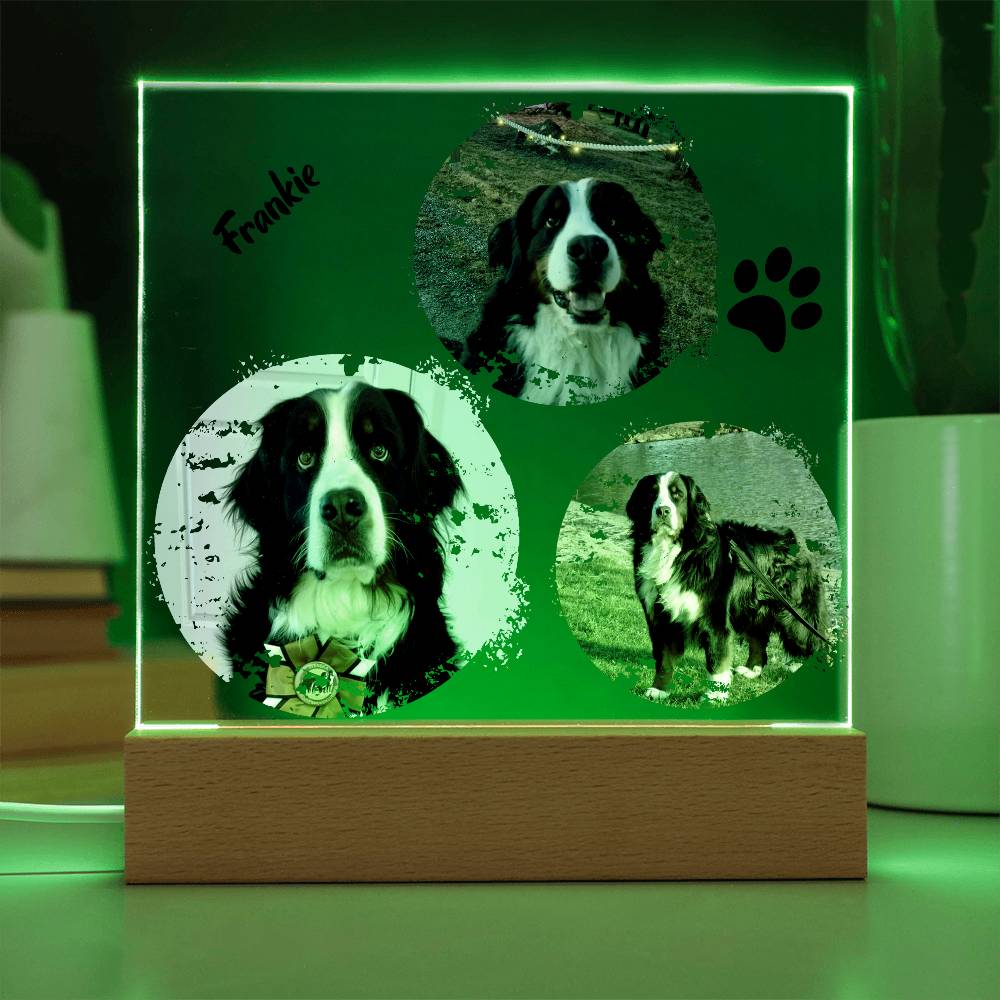 Custom Dog Photos Personalized Acrylic Plaque