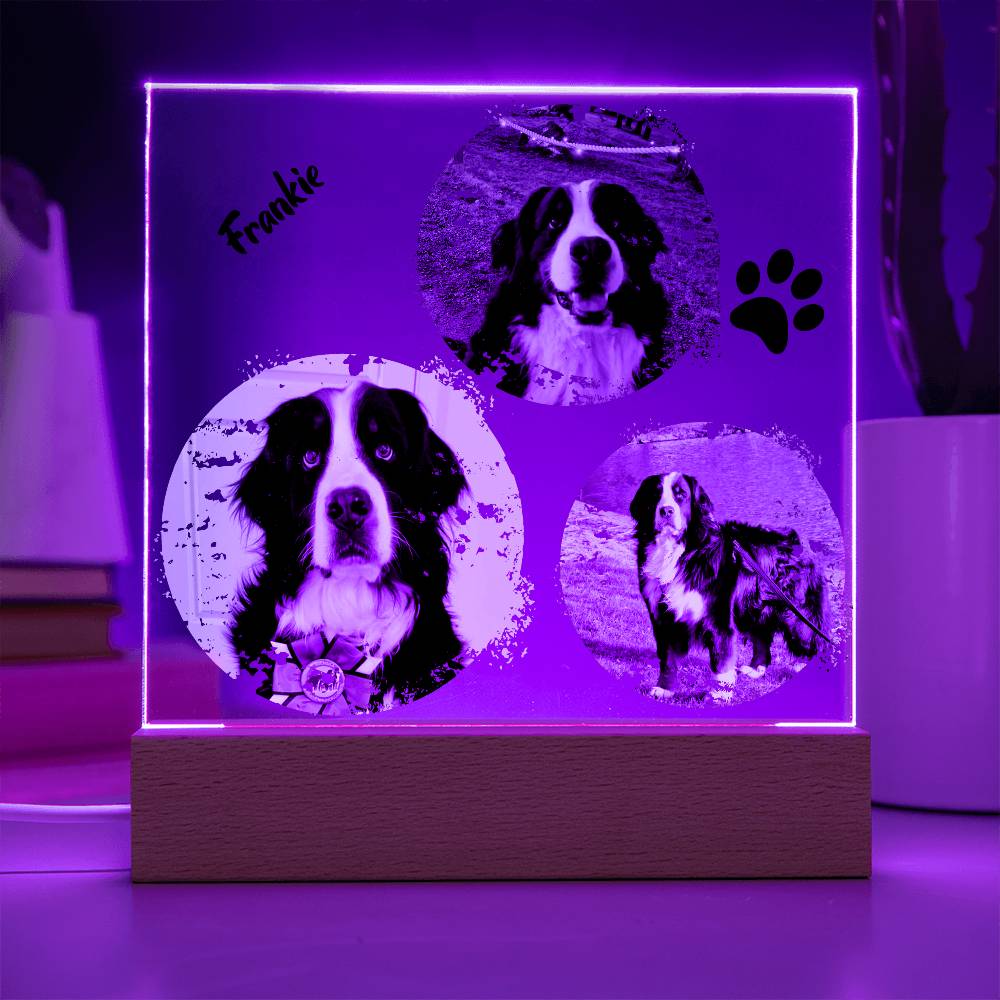 Custom Dog Photos Personalized Acrylic Plaque