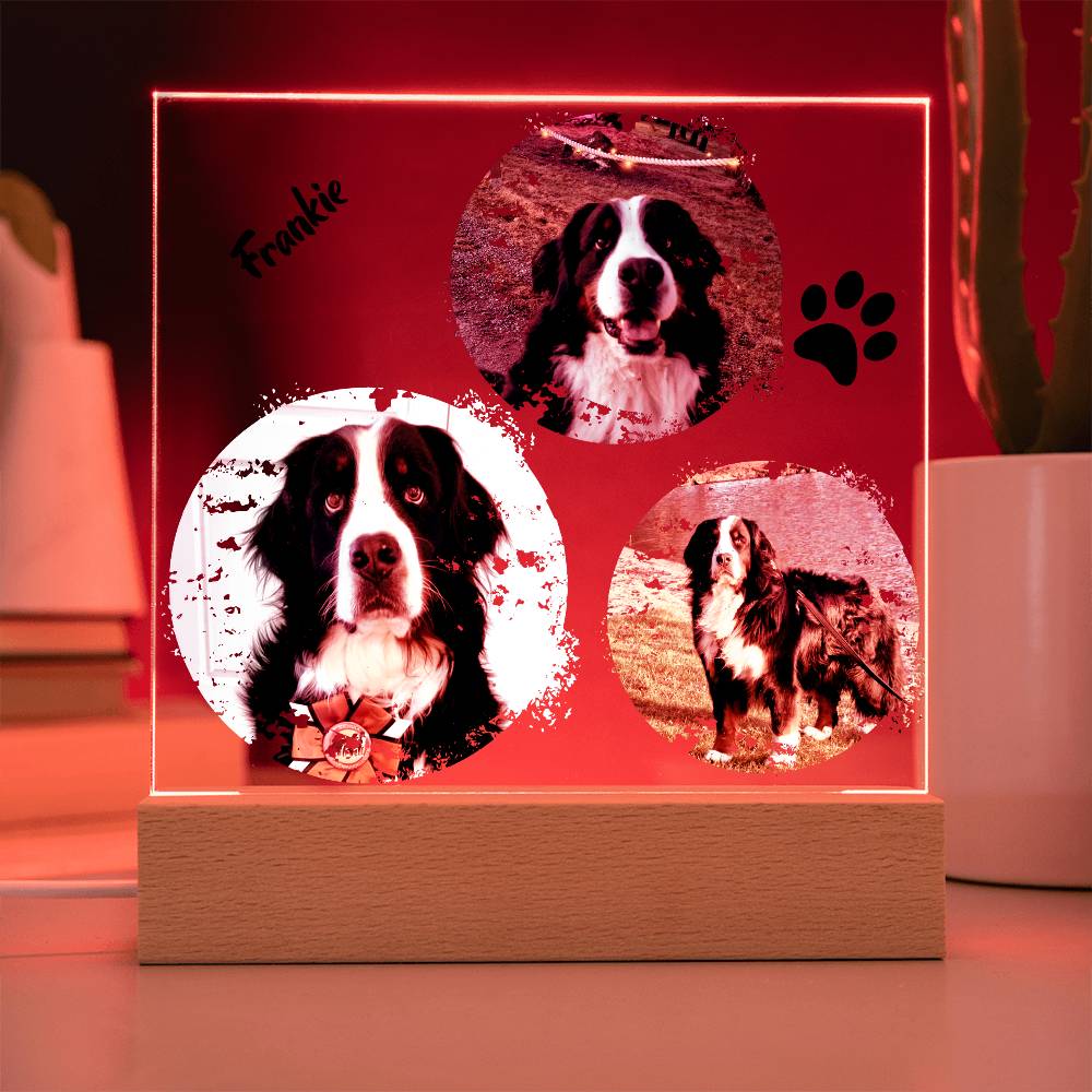 Custom Dog Photos Personalized Acrylic Plaque