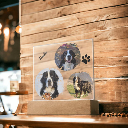 Custom Dog Photos Personalized Acrylic Plaque