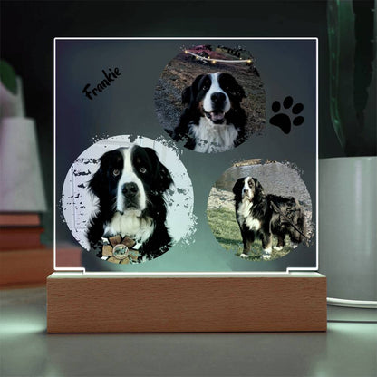 Custom Dog Photos Personalized Acrylic Plaque