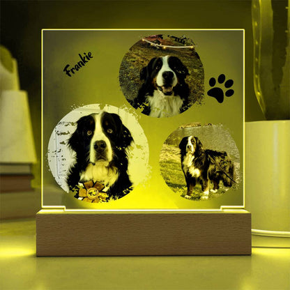 Custom Dog Photos Personalized Acrylic Plaque