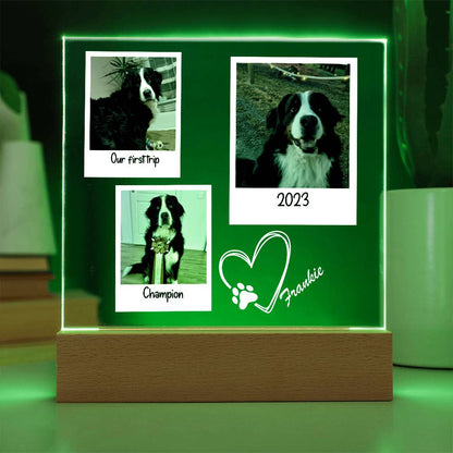 Custom Dog Framed Photos Acrylic Square Plaque