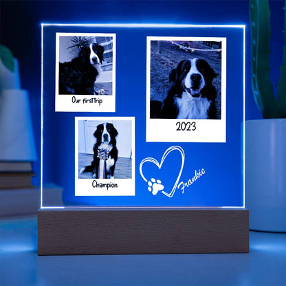 Custom Dog Framed Photos Acrylic Square Plaque