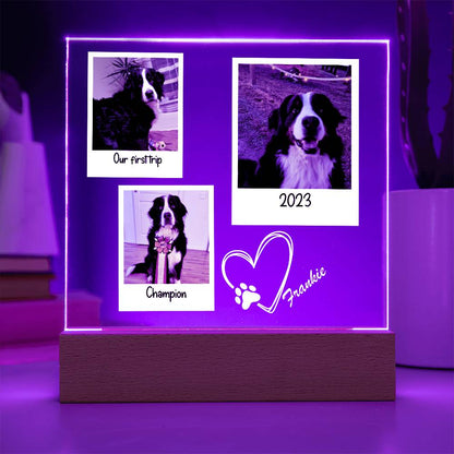 Custom Dog Framed Photos Acrylic Square Plaque