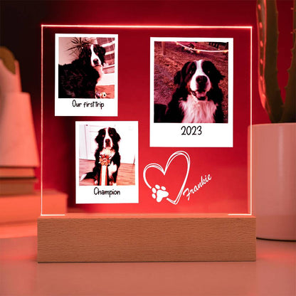 Custom Dog Framed Photos Acrylic Square Plaque