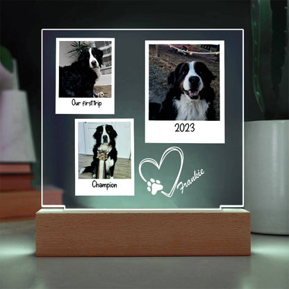 Custom Dog Framed Photos Acrylic Square Plaque