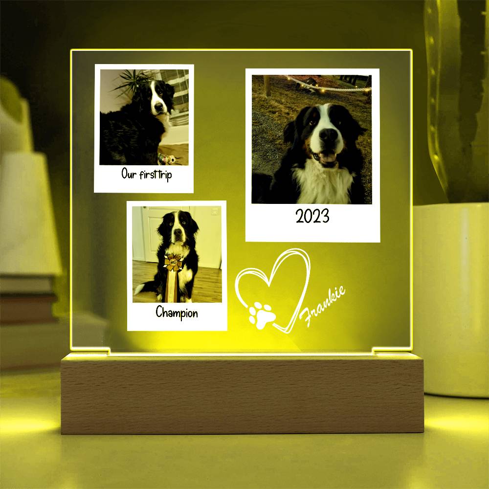 Custom Dog Framed Photos Acrylic Square Plaque