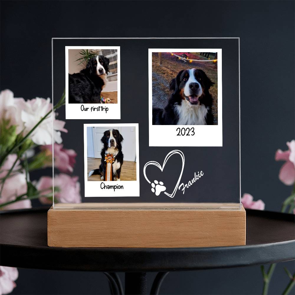 Custom Dog Framed Photos Acrylic Square Plaque