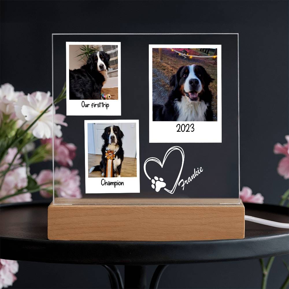 Custom Dog Framed Photos Acrylic Square Plaque